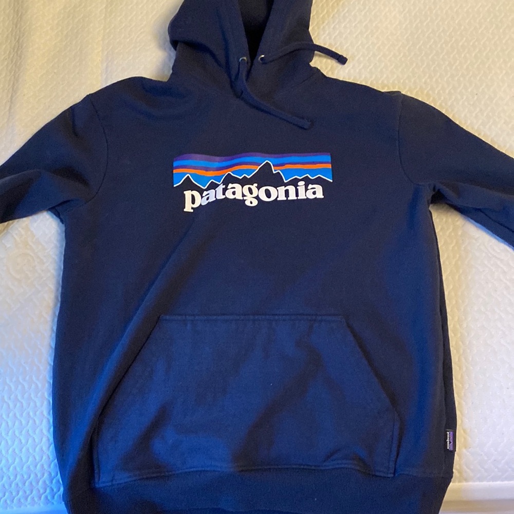 Patagonia sweatshirt